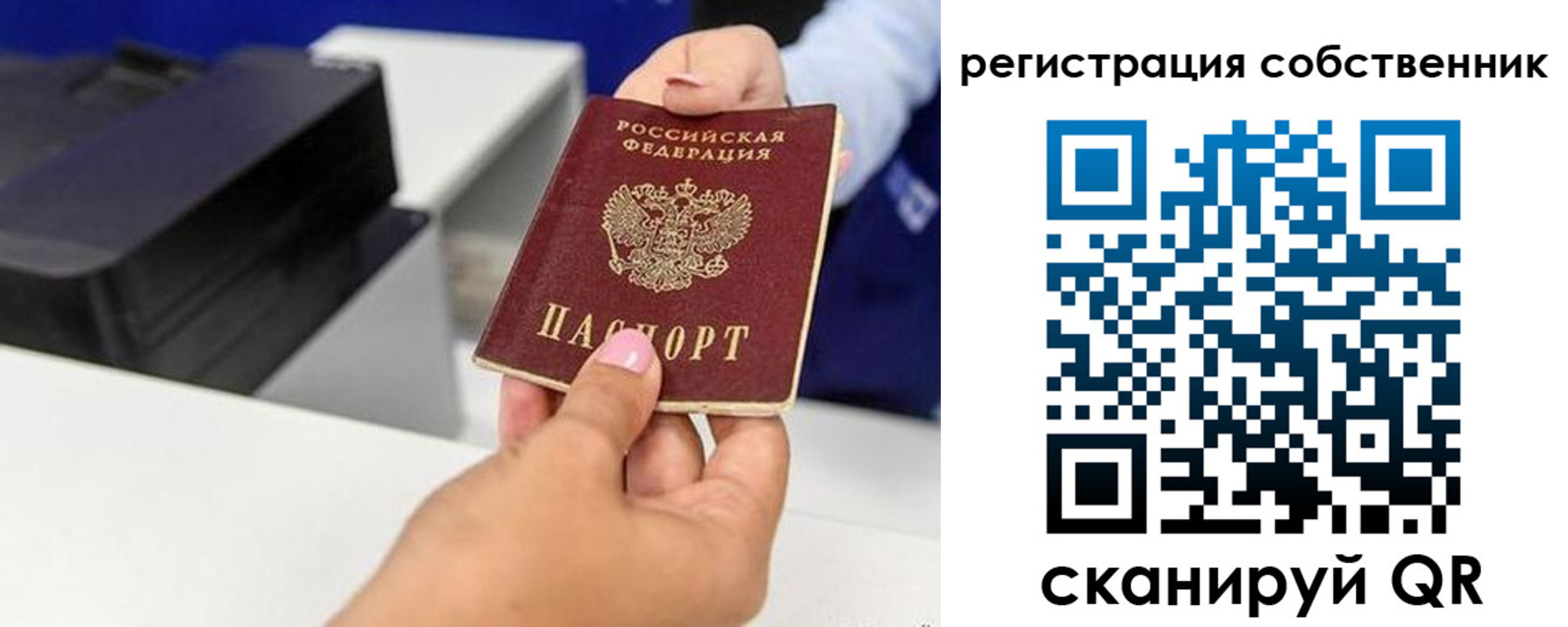 прописка для школы в Торопеце